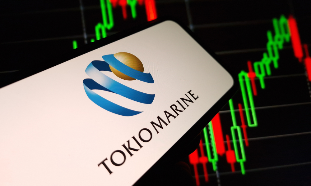 Tokio Marine leva o governo sul -africano a tribunal