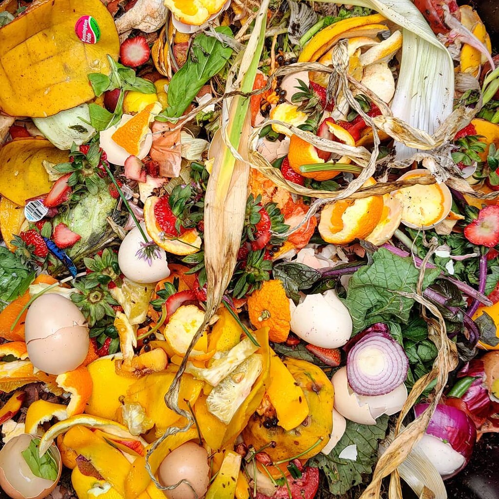 As taxas de compostagem de Nova York são baixas. Um especialista em sustentabilidade acha que a IA oferecerá uma solução. Eventualmente. – Estado do planeta