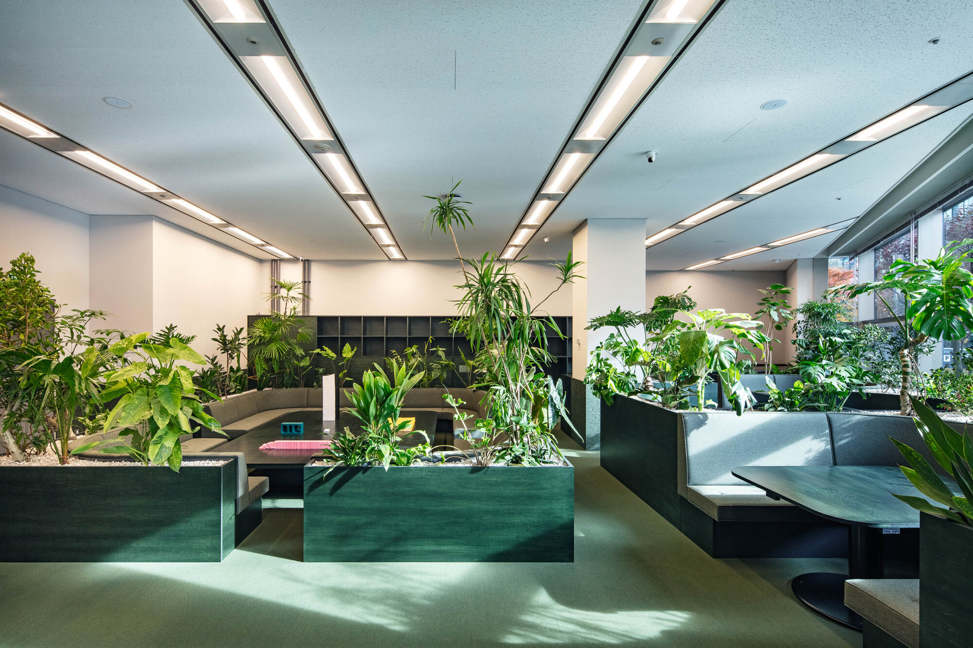 Kokuyo Dig / DDA + Kokuyo