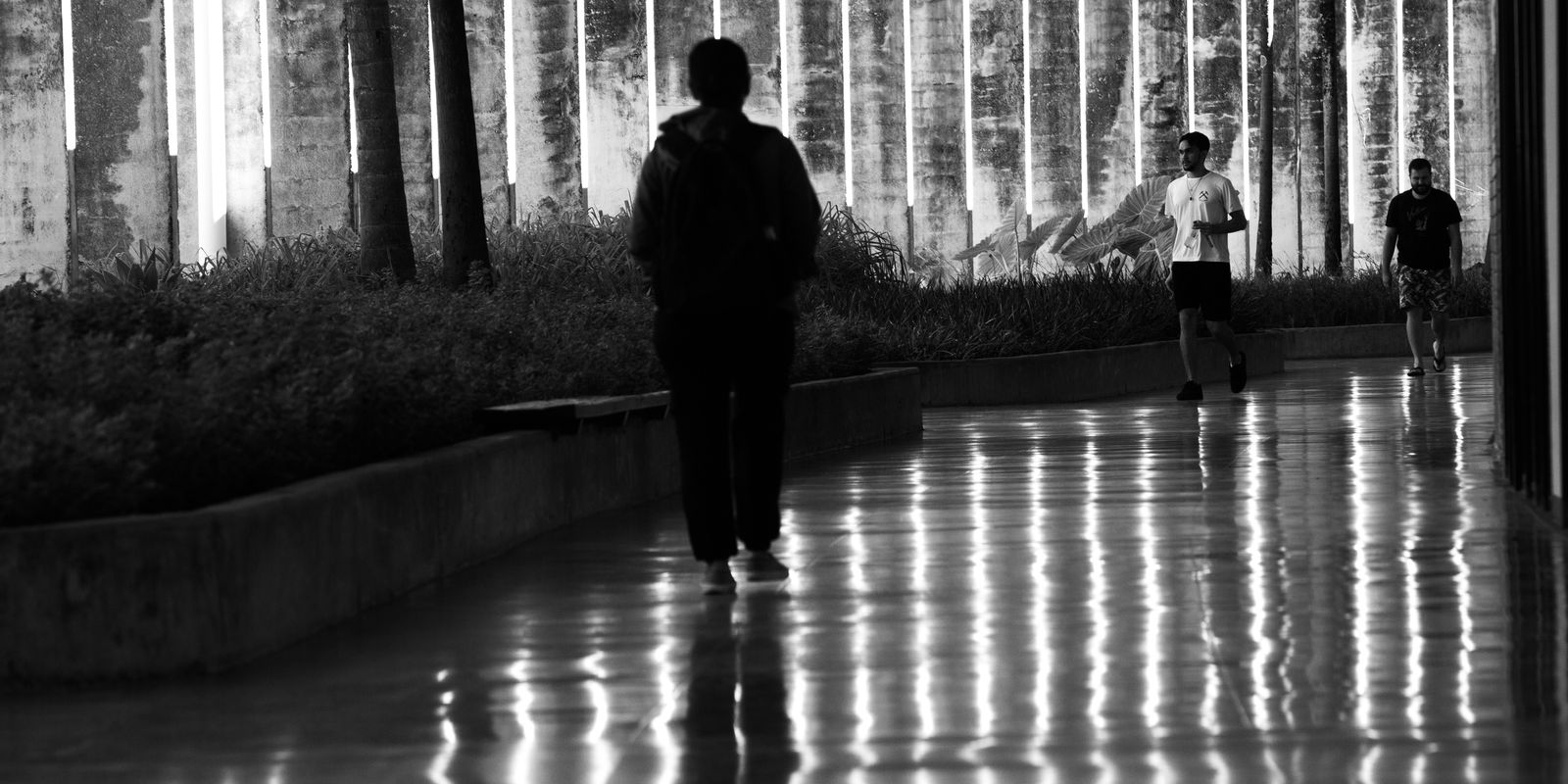 Estudante é expulso da UnB por gravar aulas e debochar de professores