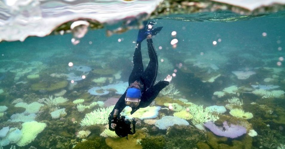 Os oceanos do mundo estão se arremessando para o ponto de ruptura