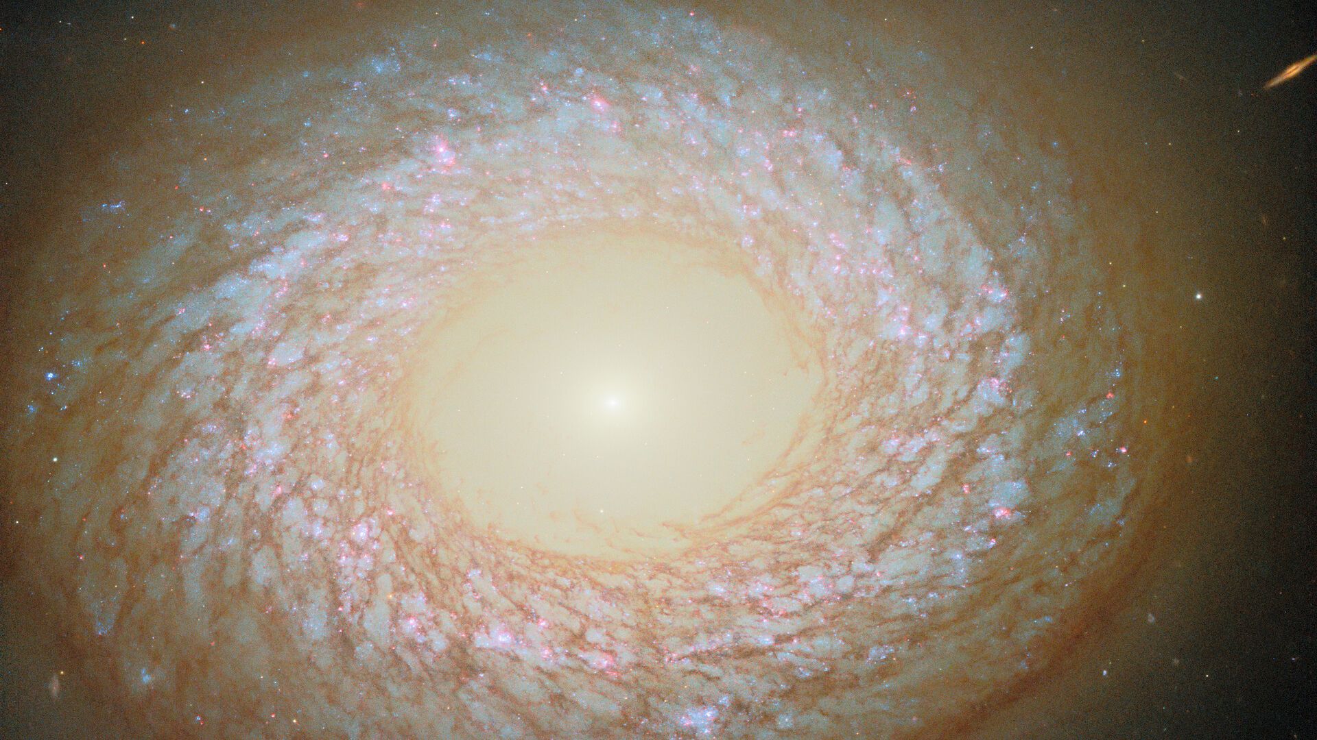 O telescópio de Hubble encontra galáxia com foto de forma intrigante do dia para 29 de setembro de 2025