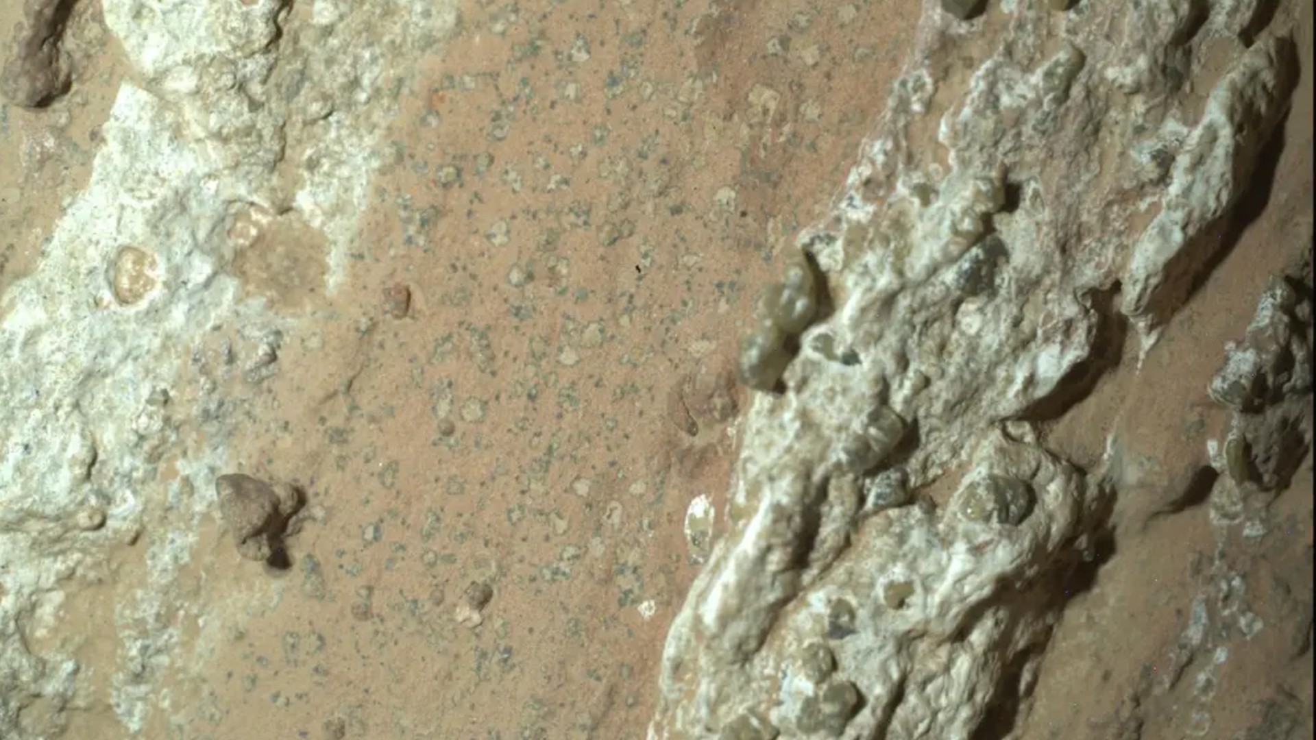 A perseverança da NASA Rover realmente encontrou evidências da vida em Marte? Precisamos trazer suas amostras para casa para descobrir, dizem os cientistas
