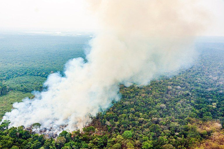 Cancelado debate sobre combate a efeitos de queimadas na Amazônia – Notícias