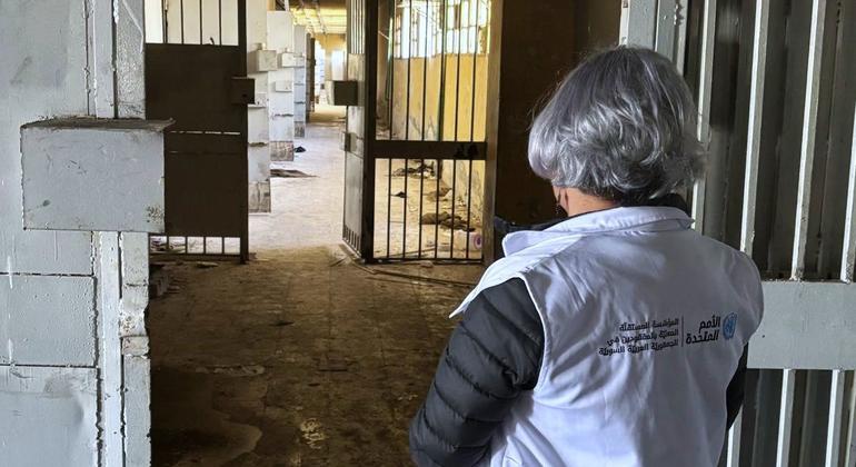 Mexicana lidera Instituição Independente para Pessoas Desaparecidas na Síria