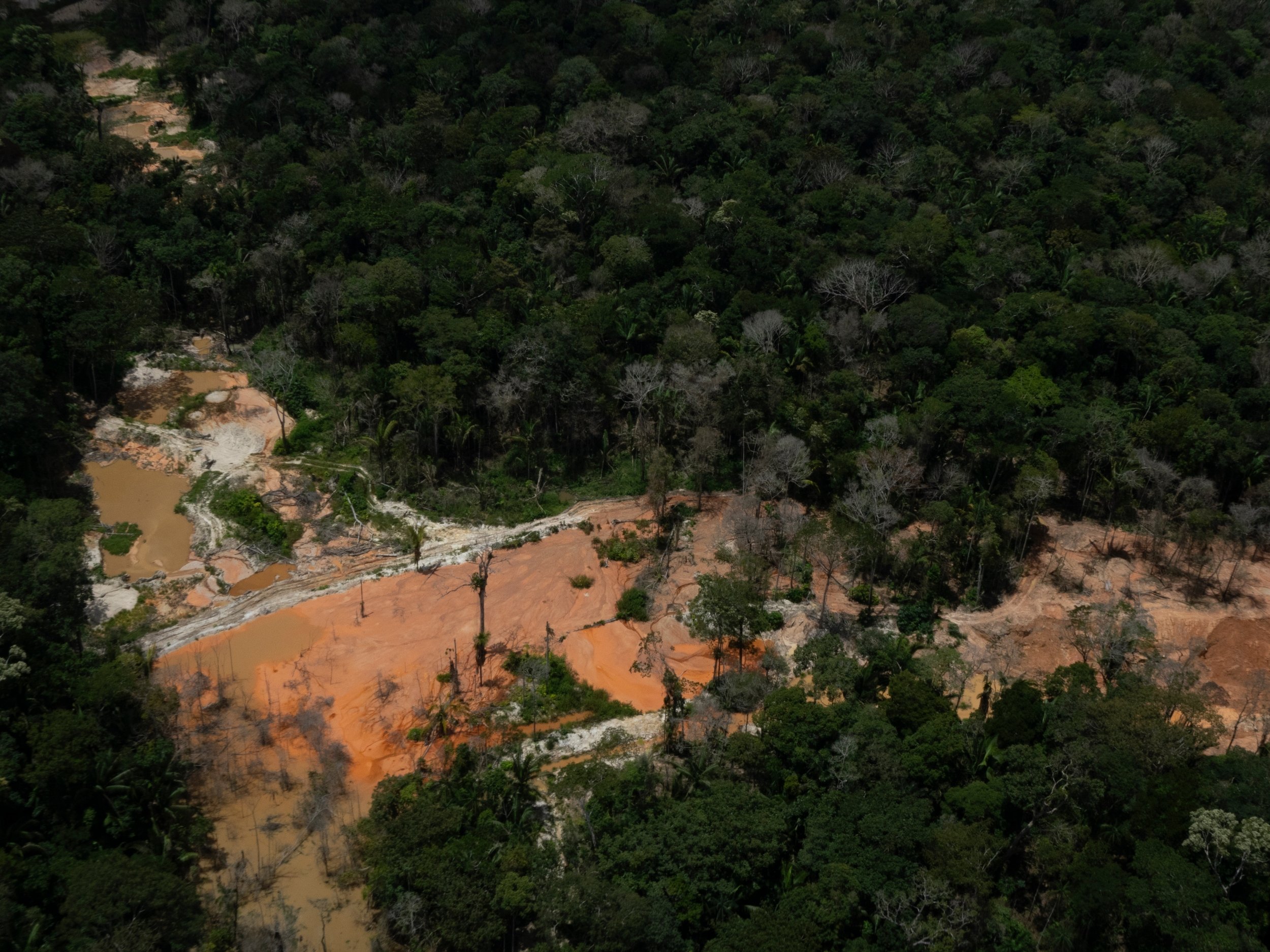 Greenpeace Canadá reage ao aliado de Trump supervisionando o projeto de mineração de Quebec