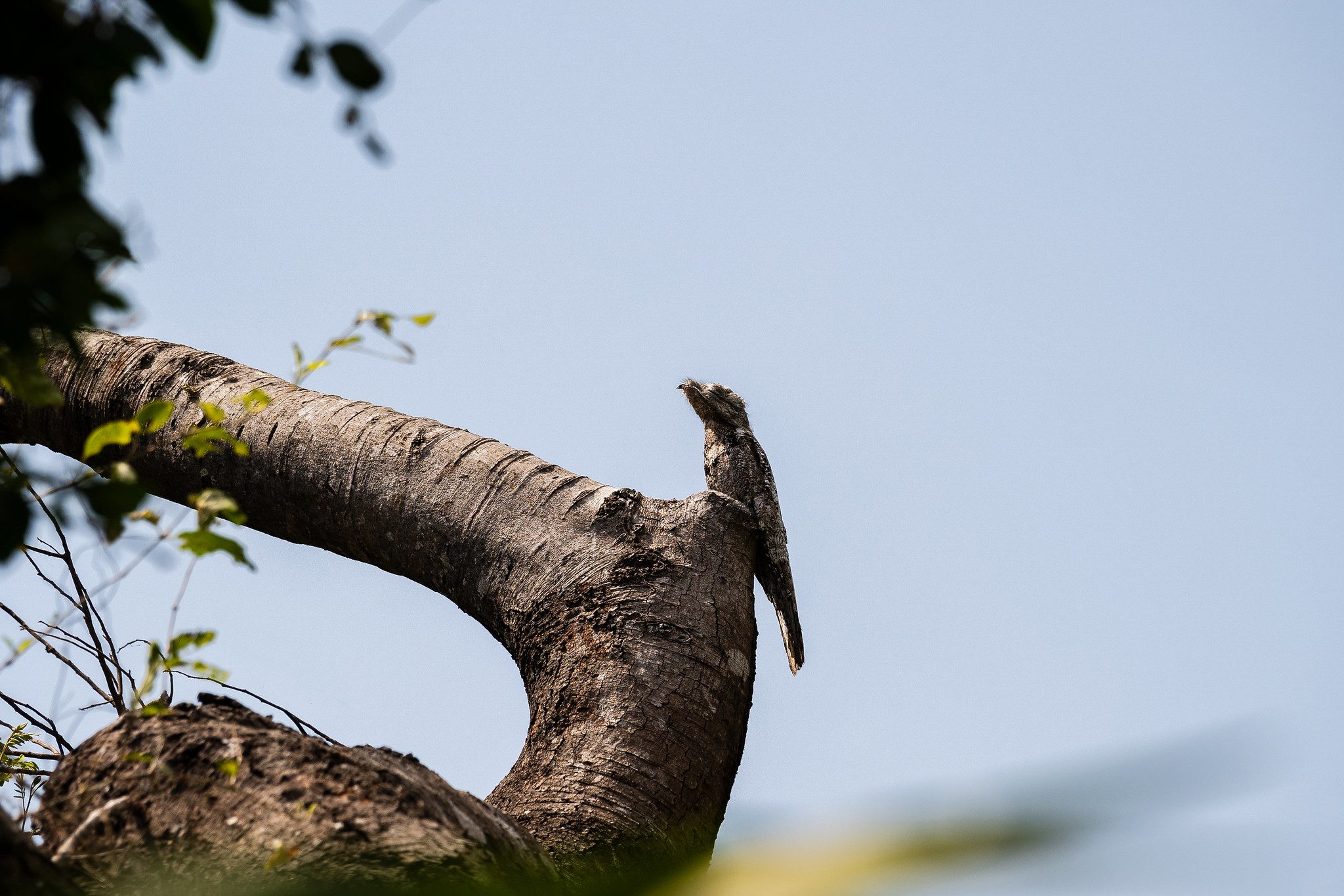 Imprensa norte-americana desembarca no Mato Grosso para viver experiências de ecoturismo