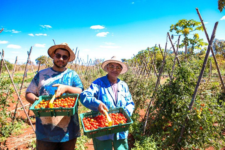 Pronaf e Plano Safra para agricultura familiar são transformados em lei – Notícias