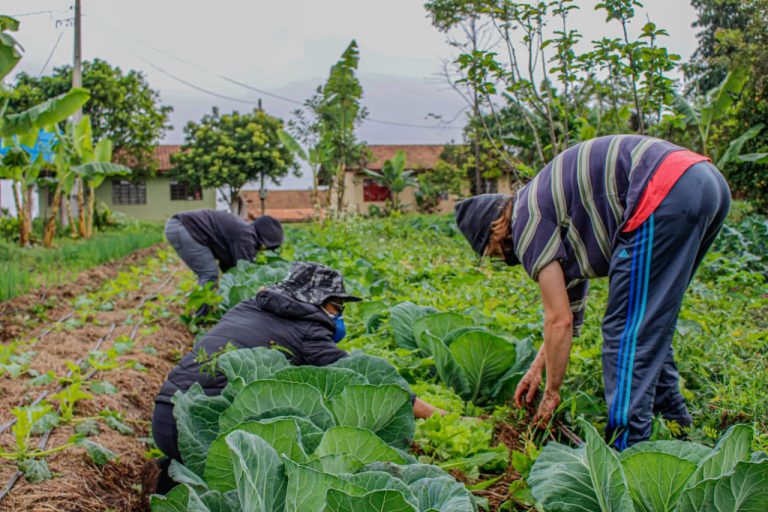Sancionada lei que amplia acesso de agricultores familiares ao Garantia-Safra – Notícias