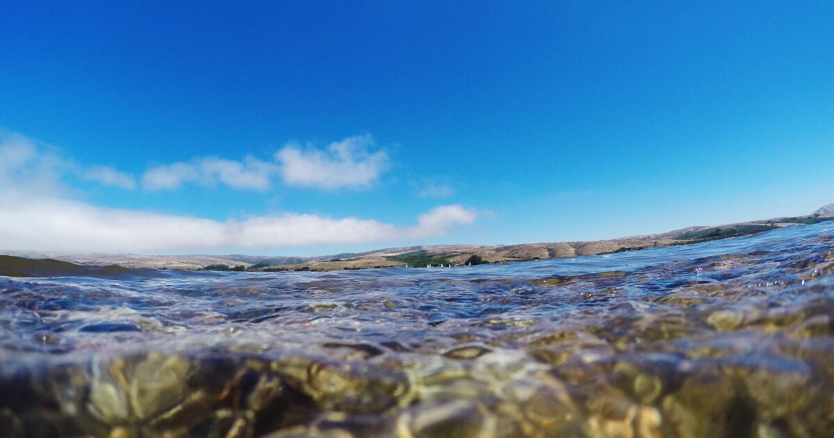 Um desafio de natação que desperta a alma na natureza selvagem da Califórnia