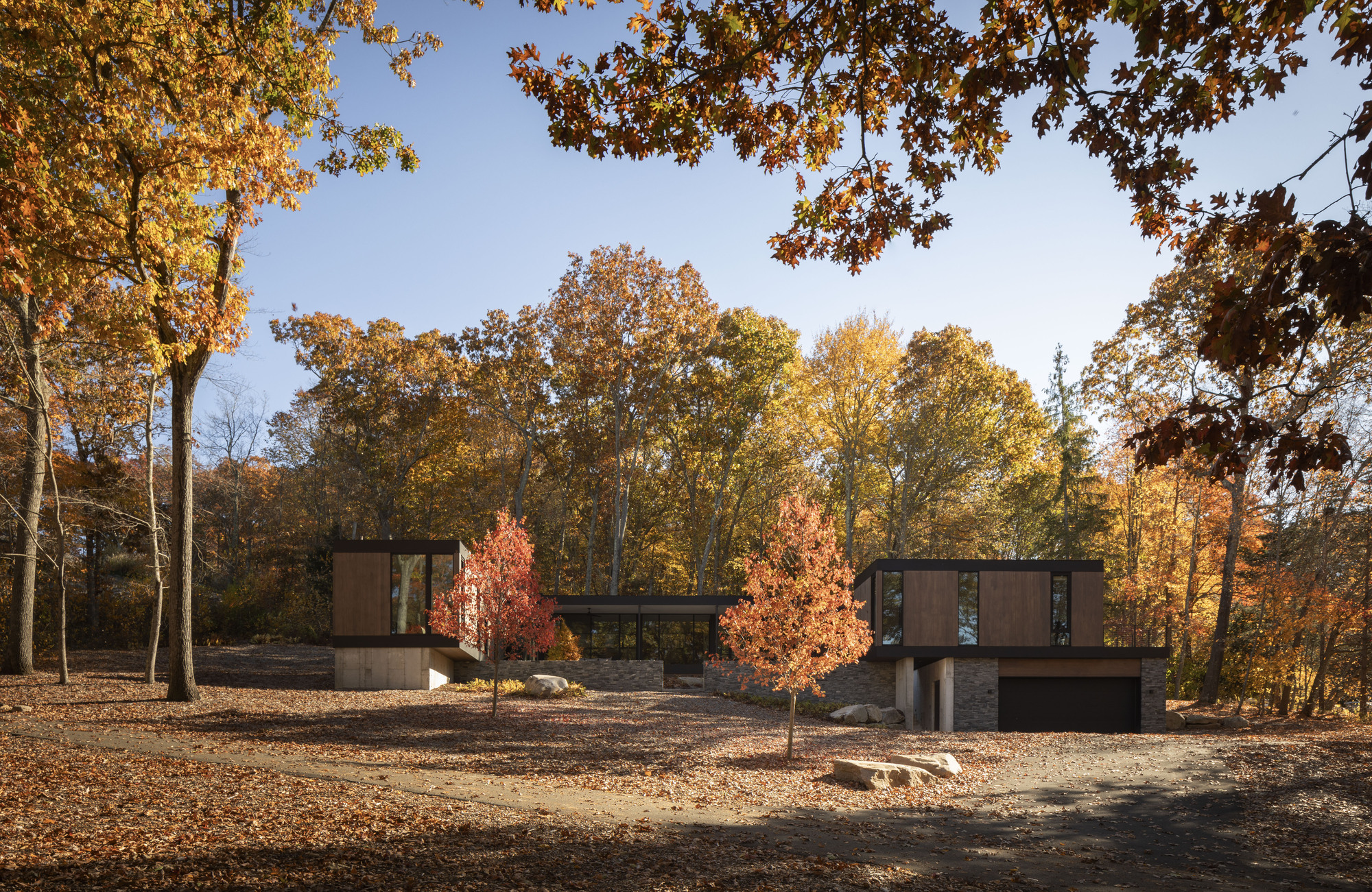 Casa na Floresta / Tom Lontine Architect