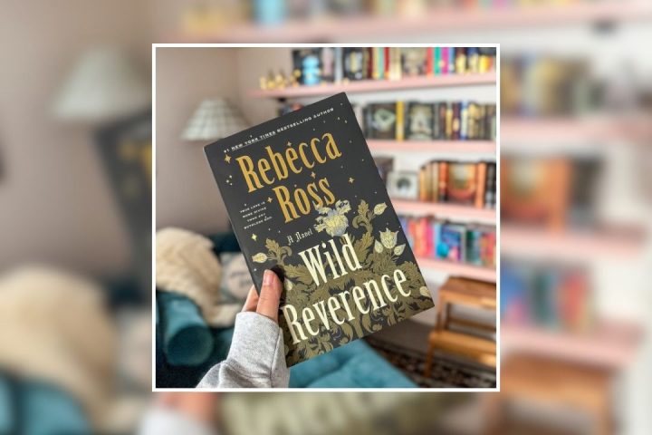 14 livros para ler se você está desesperado para trazer de volta o desejo