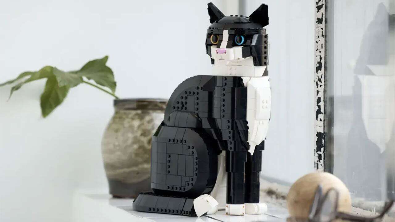 Conjunto Tuxedo Cat Lego está à venda pelo preço mais baixo, mas certo, Miau