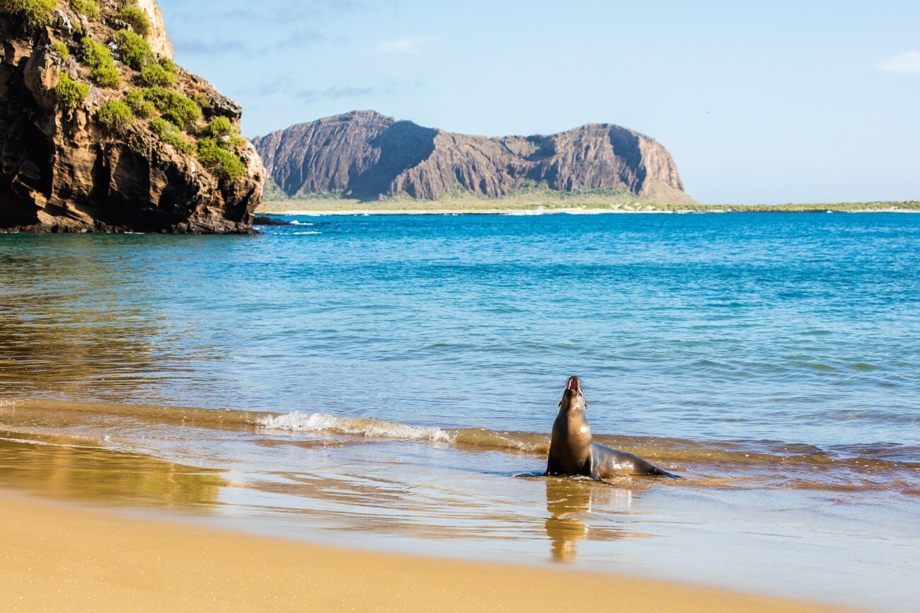 As Galápagos se tornarão um posto avançado da Marinha dos EUA? – Estado do Planeta