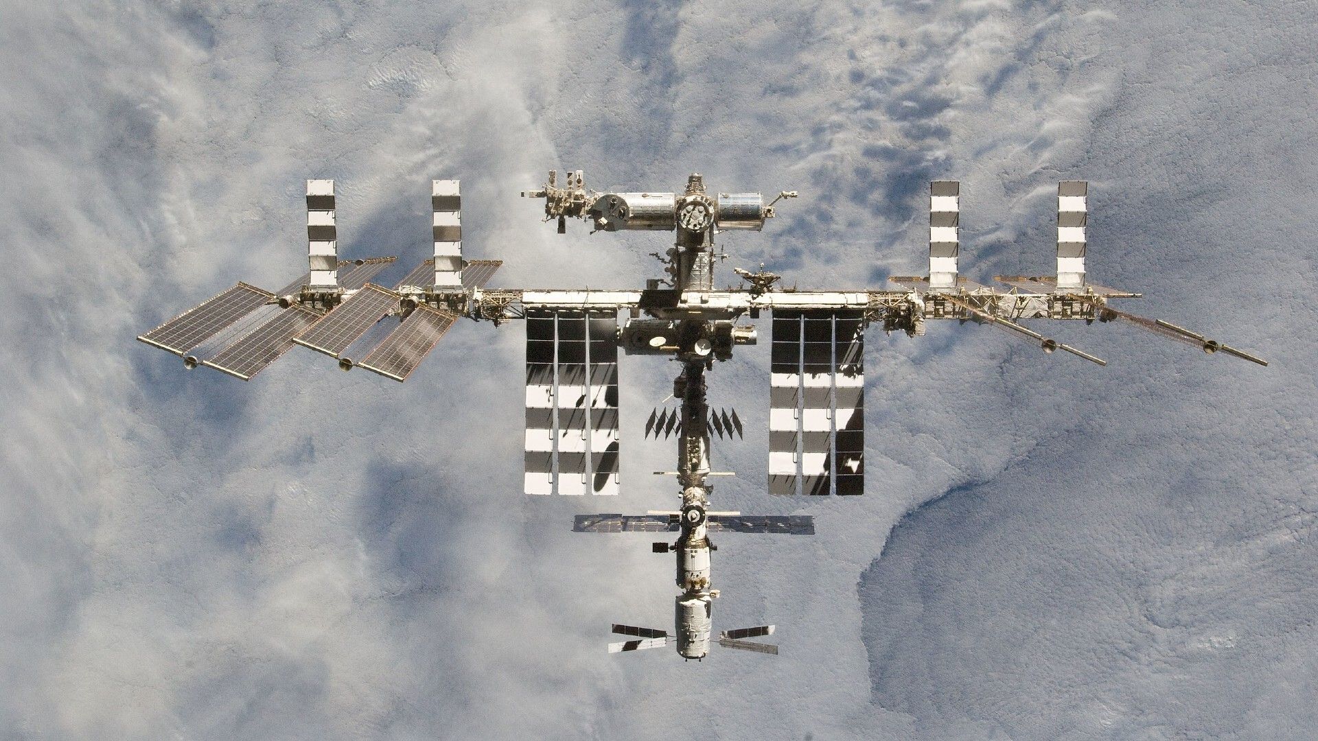 ‘Ficamos genuinamente surpresos’: este musgo sobreviveu 9 meses fora da Estação Espacial Internacional e ainda pode crescer na Terra