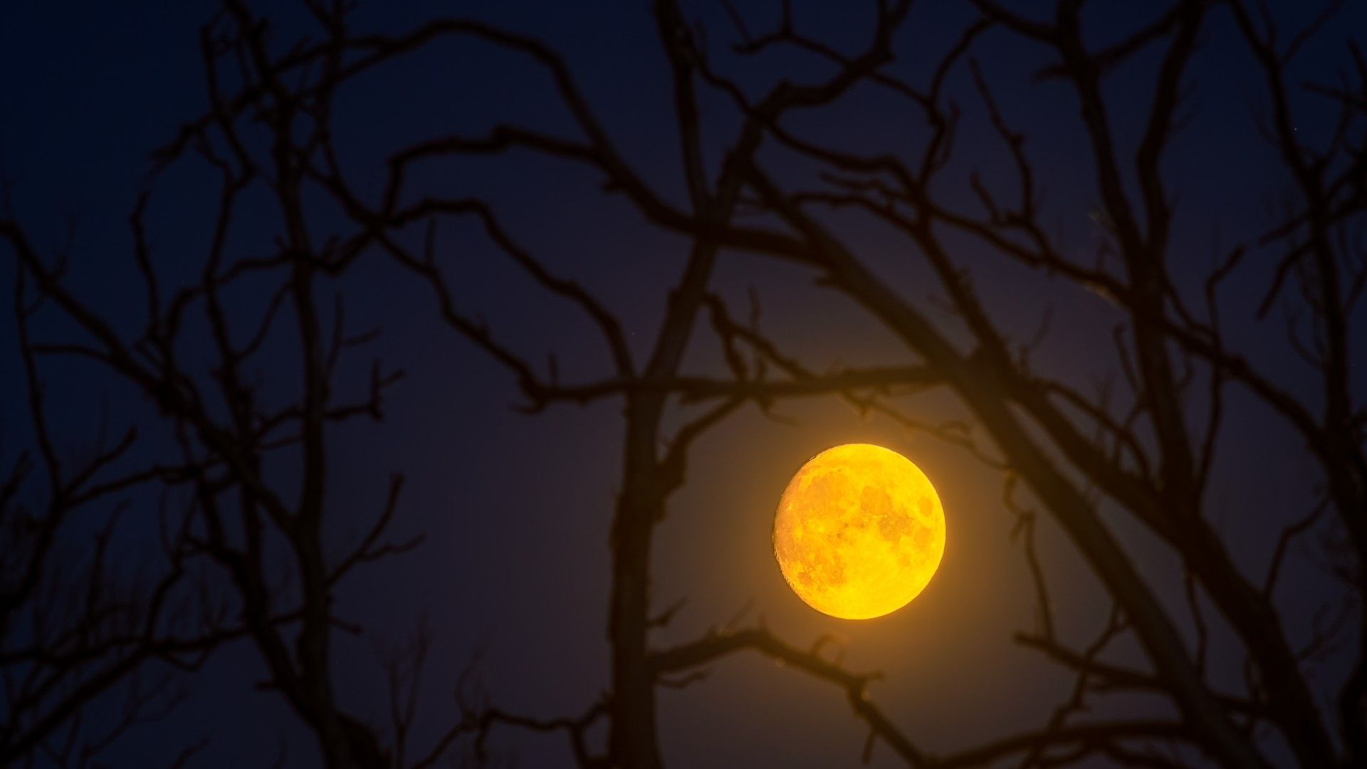 Observação das estrelas no Halloween de 2025: a lua e Saturno iluminam o céu noturno para doces ou travessuras