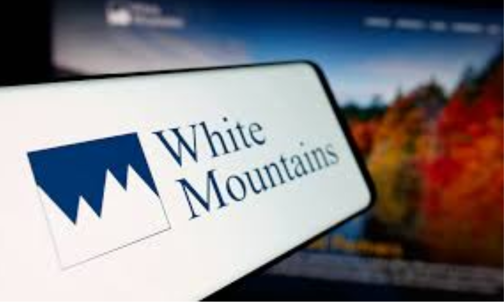 White Mountains vende participação controladora na Bamboo