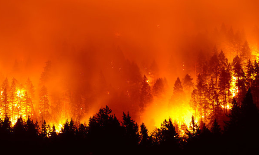 Estudo da IBHS destaca o endurecimento residencial como chave para a mitigação do risco de incêndios florestais em Los Angeles