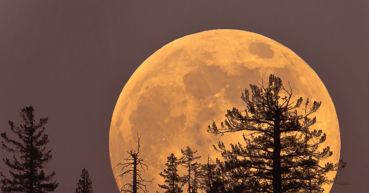 A lua fria de quinta-feira é a última superlua do ano. Veja como e quando visualizá-lo