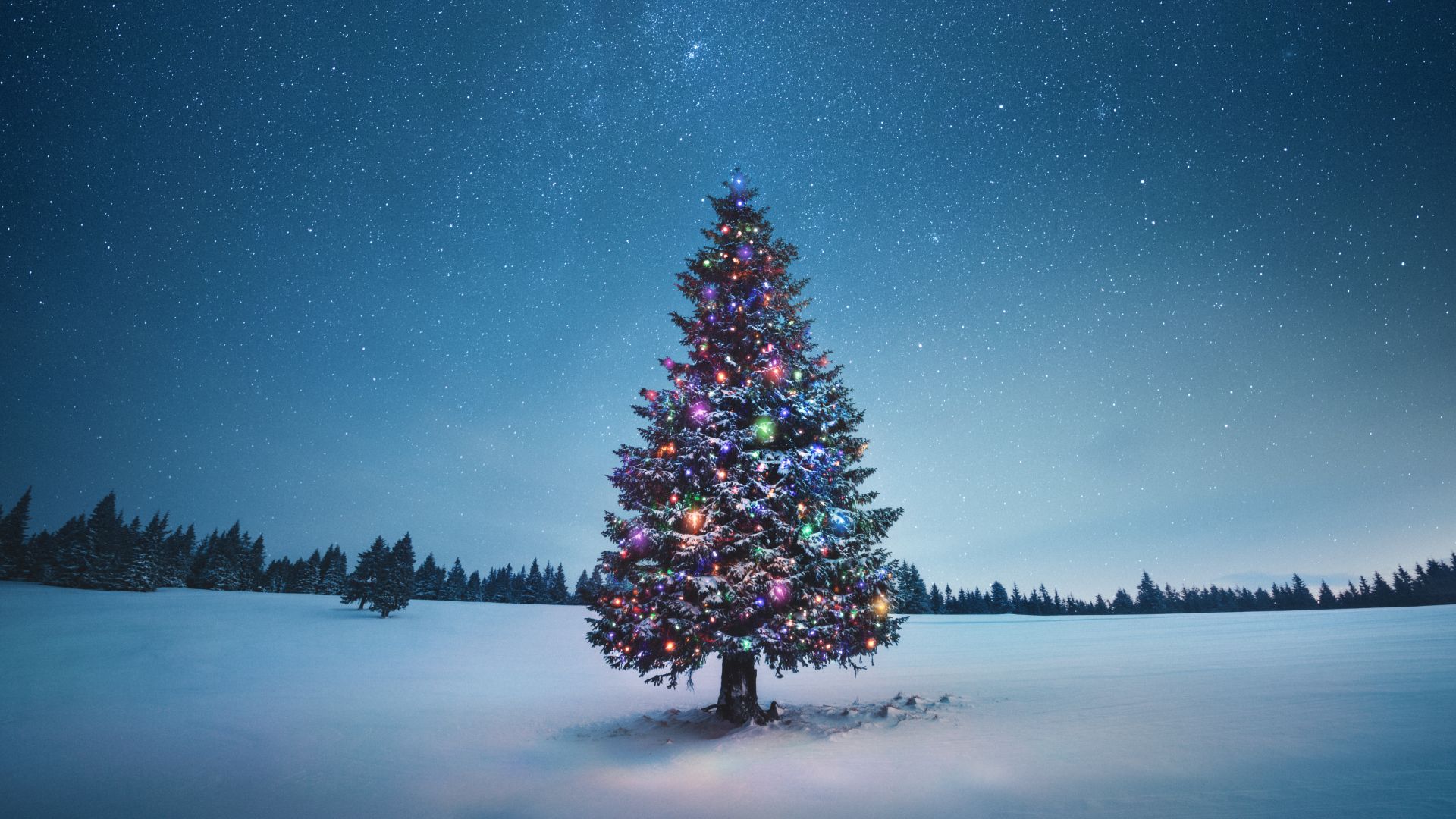 Guia de observação do céu no Natal de 2025 – O que você pode ver no céu noturno em 25 de dezembro