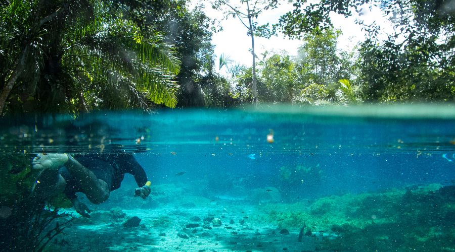 Embratur leva ações promocionais à conferência anual da USTOA e reforça presença do Brasil no mercado norte-americano