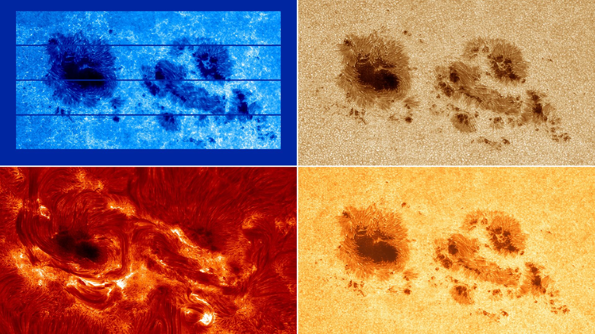 Imagens raras revelam manchas solares ativas minutos antes de desencadearem poderosas explosões X que causaram as impressionantes auroras de novembro de 2025