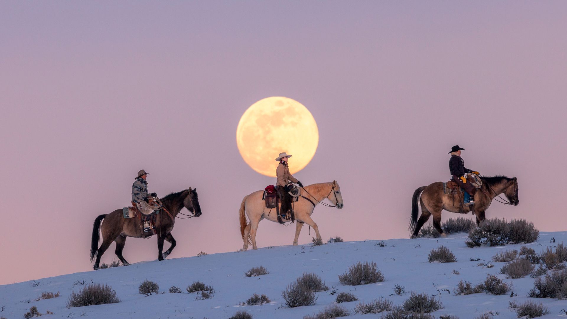 13 eventos lunares imperdíveis em 2026 – Eclipses, superluas, conjunções e muito mais