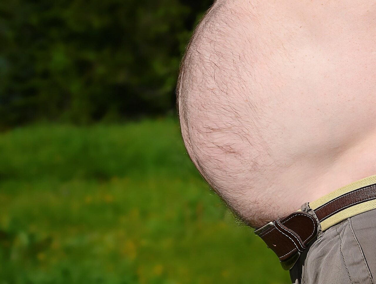 Gordura visceral: um risco para a saúde e como eliminar a perigosa gordura da barriga