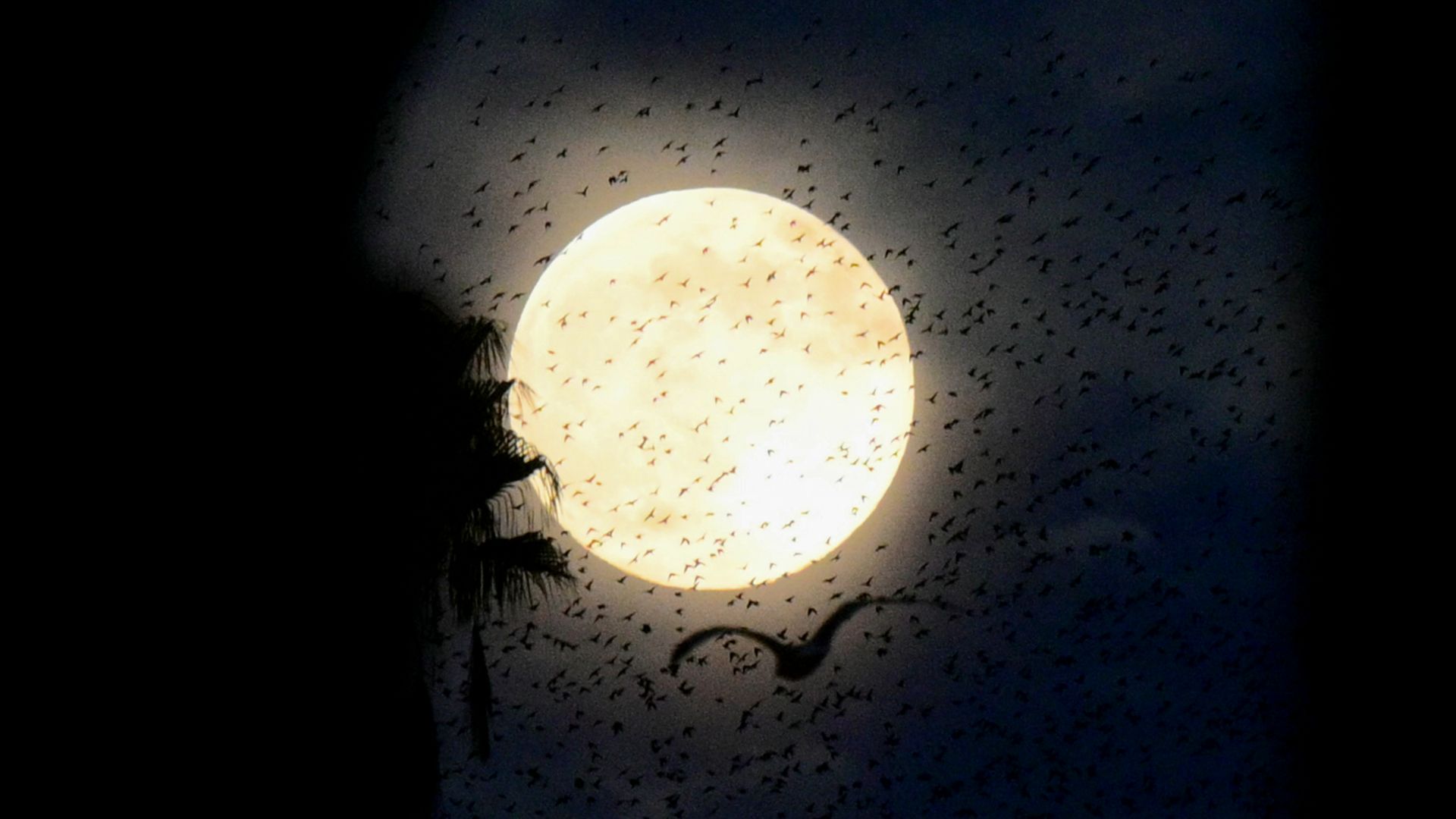 A ‘Lua Fria’ de dezembro surge – Veja imagens de tirar o fôlego da última lua cheia de 2025