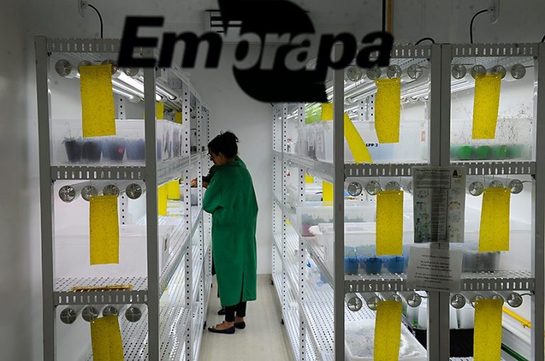 Entra em vigor lei que garante isenção de taxas para Embrapa – Notícias
