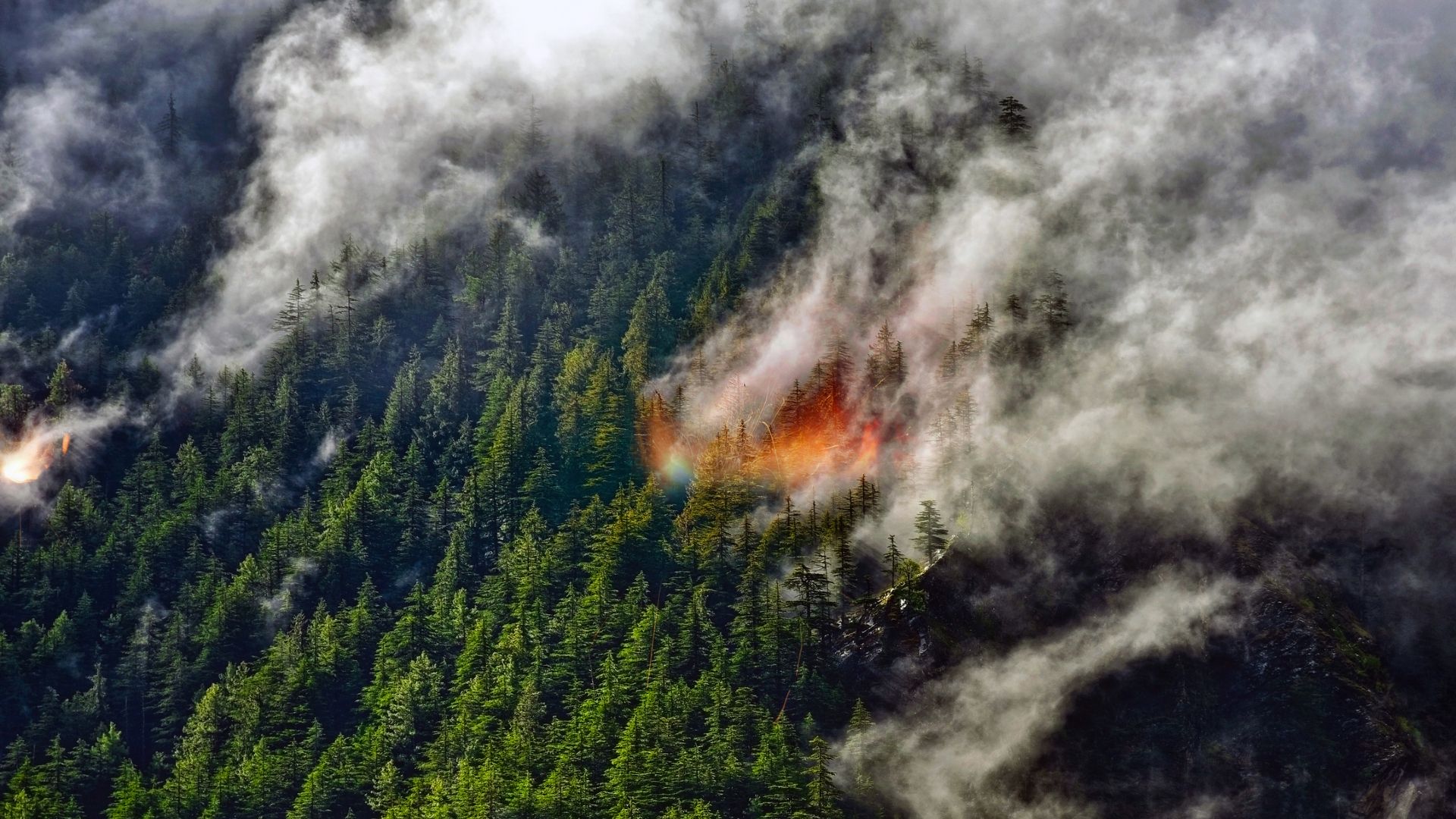 A fumaça do incêndio florestal que se eleva a quilômetros de altura pode ter um efeito inesperado no clima da Terra