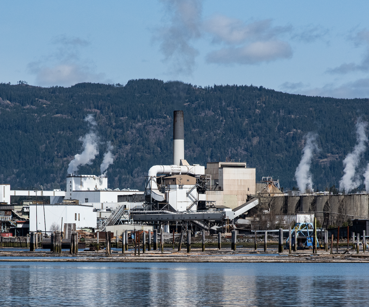 A investigação do Greenpeace Canadá revela que o lobby de Domtar resultou em mais de US$ 200 milhões em fundos públicos canadenses