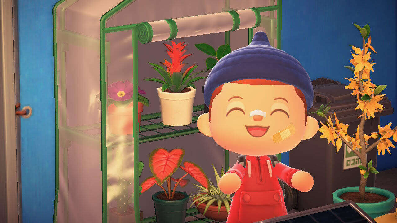 A próxima atualização de Animal Crossing faz com que os jogadores revisitem ilhas há muito desertas