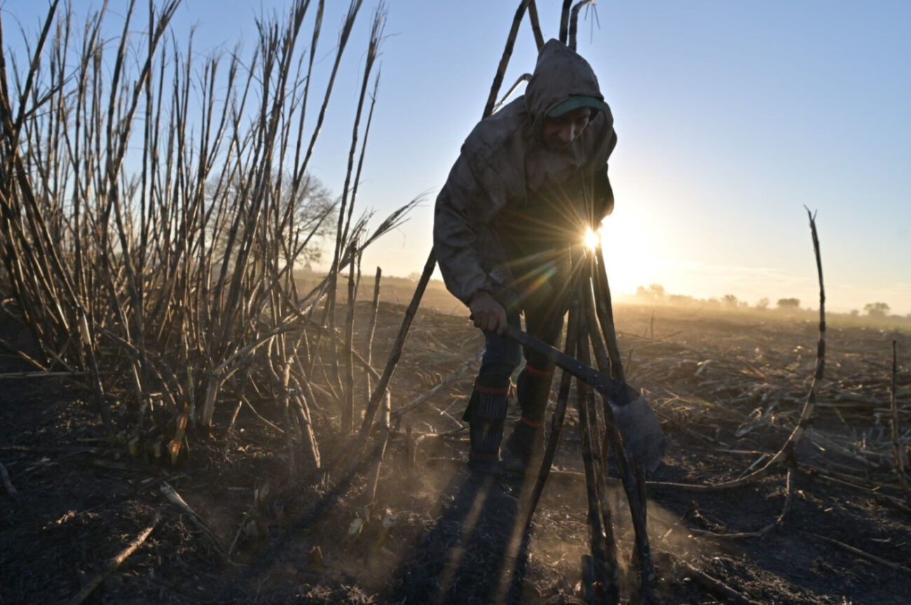 Novas políticas, mesmas desigualdades para os trabalhadores agrícolas no México – Estado do Planeta