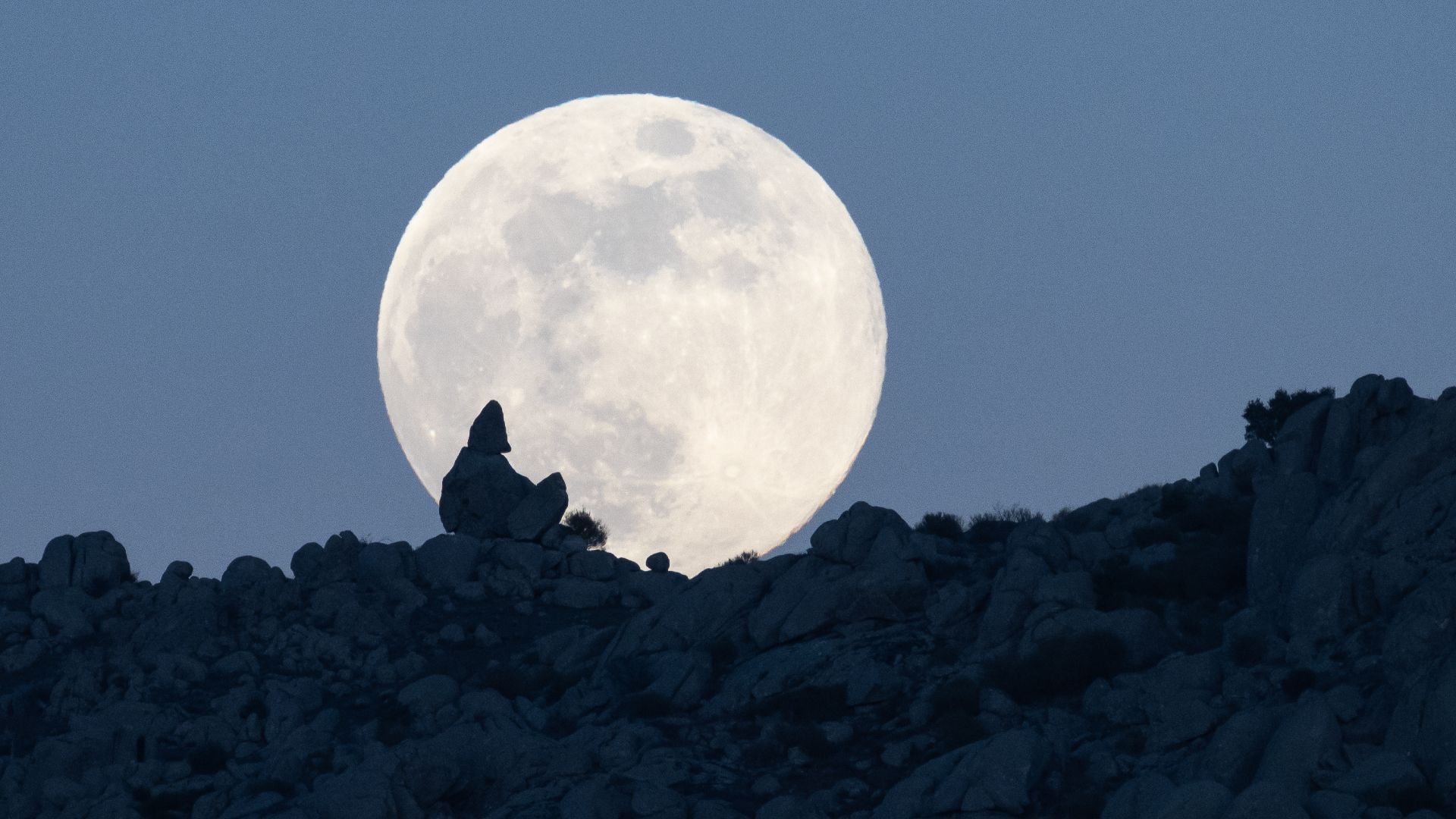 A primeira lua cheia de 2026 nasce esta noite! Aqui está o que esperar da superlua Wolf Moon de janeiro