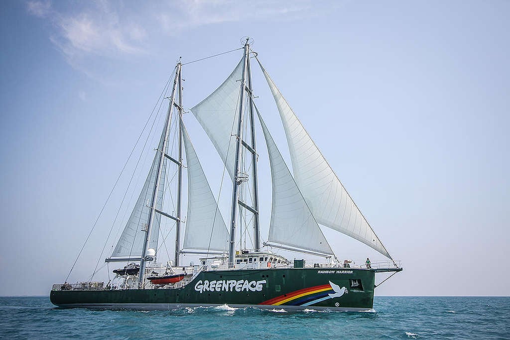 Ativista de Investigações – Greenpeace Canadá