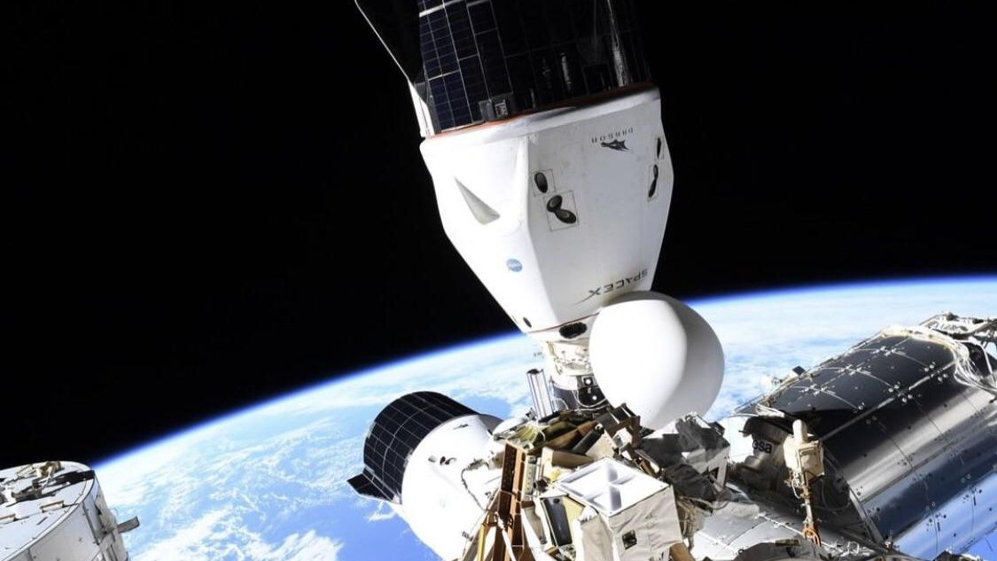 Assista hoje aos astronautas da Crew-11 desencaixarem na primeira evacuação médica da Estação Espacial Internacional