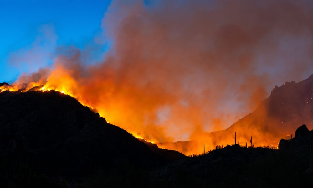 Senado de Washington avança projeto de divulgação da pontuação de risco de incêndio florestal de Kuderer