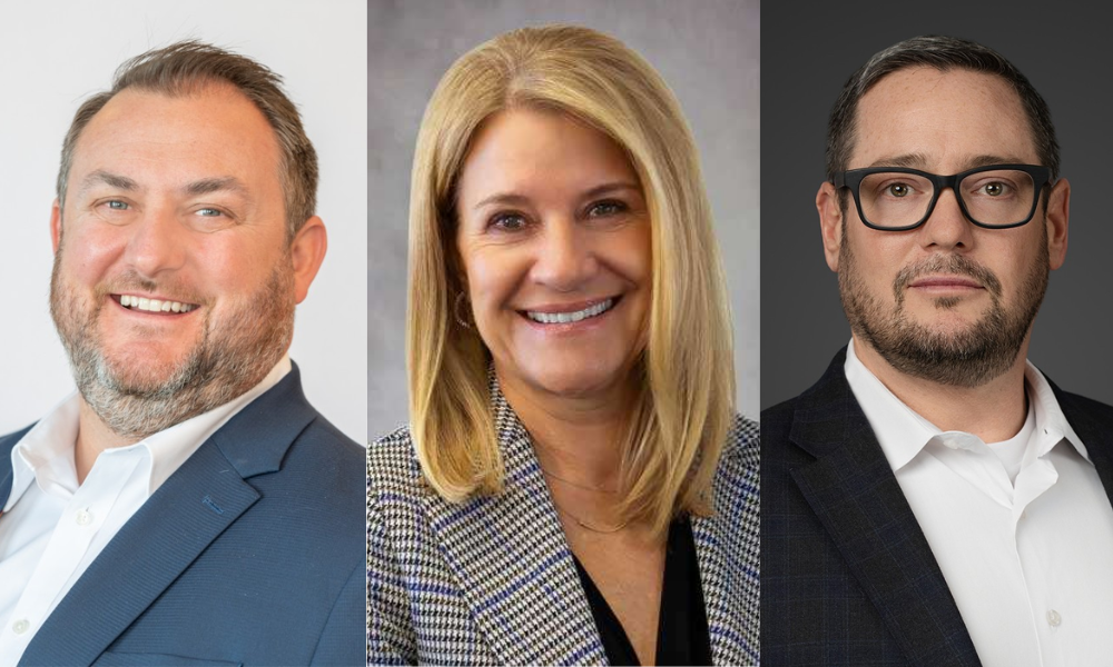Movimentos de seguros: HUB, IICF, Hinterland, outros