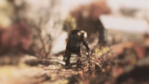 Pé Grande foi encontrado e está no Fallout 76