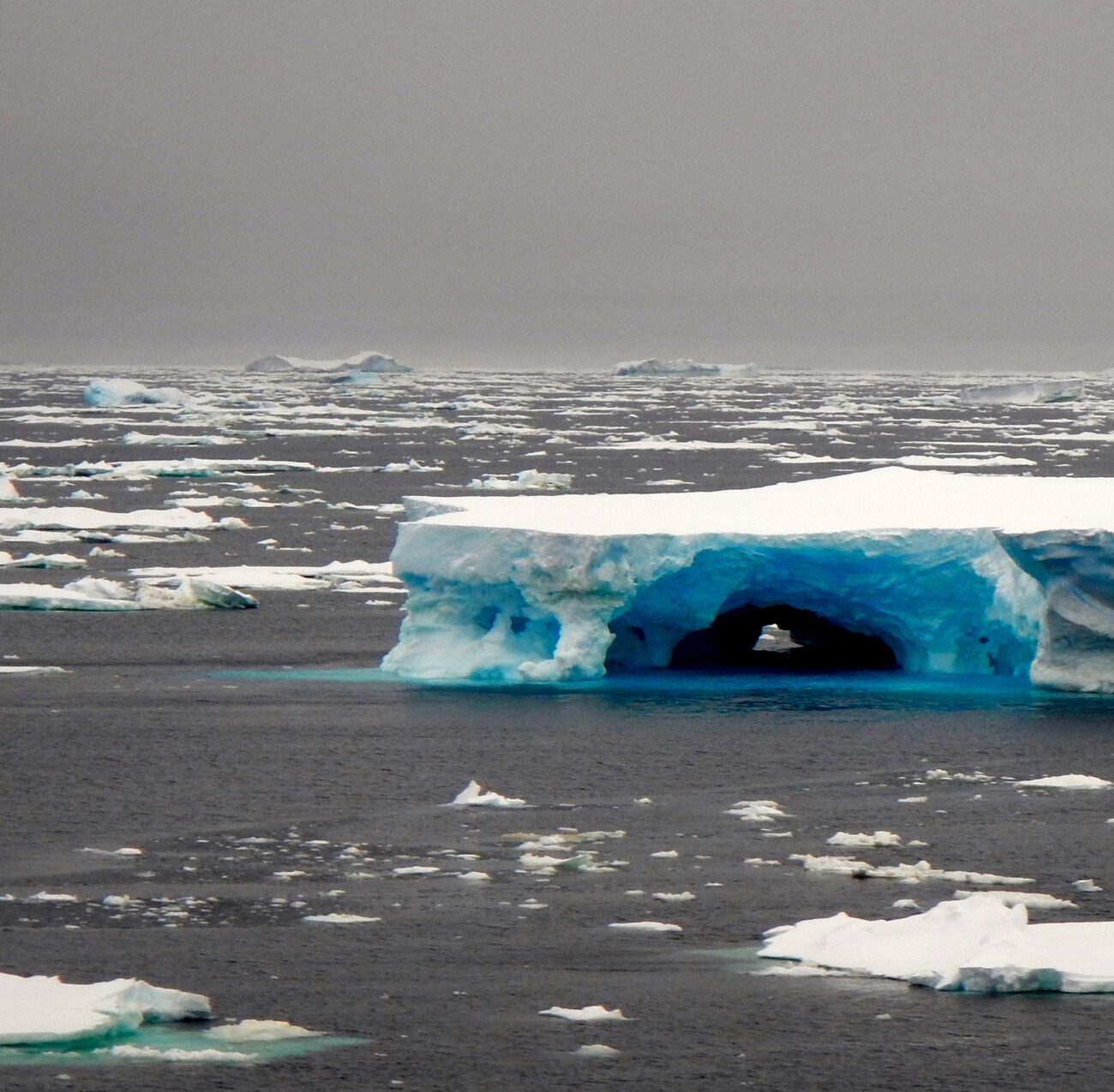 Feedback climático inesperado liga o manto de gelo da Antártica à redução da absorção de carbono – Estado do Planeta