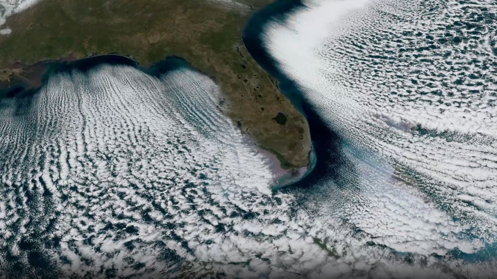 Fluxo de ‘ruas nubladas’ da foto do dia da costa da Flórida em 12 de fevereiro de 2026