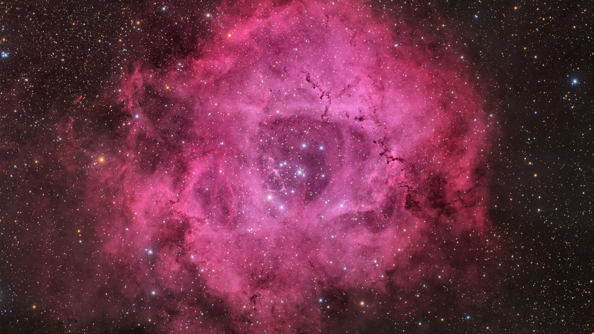 Solteira neste Dia dos Namorados? Não se preocupe, o universo tem uma rosa só para você (foto)