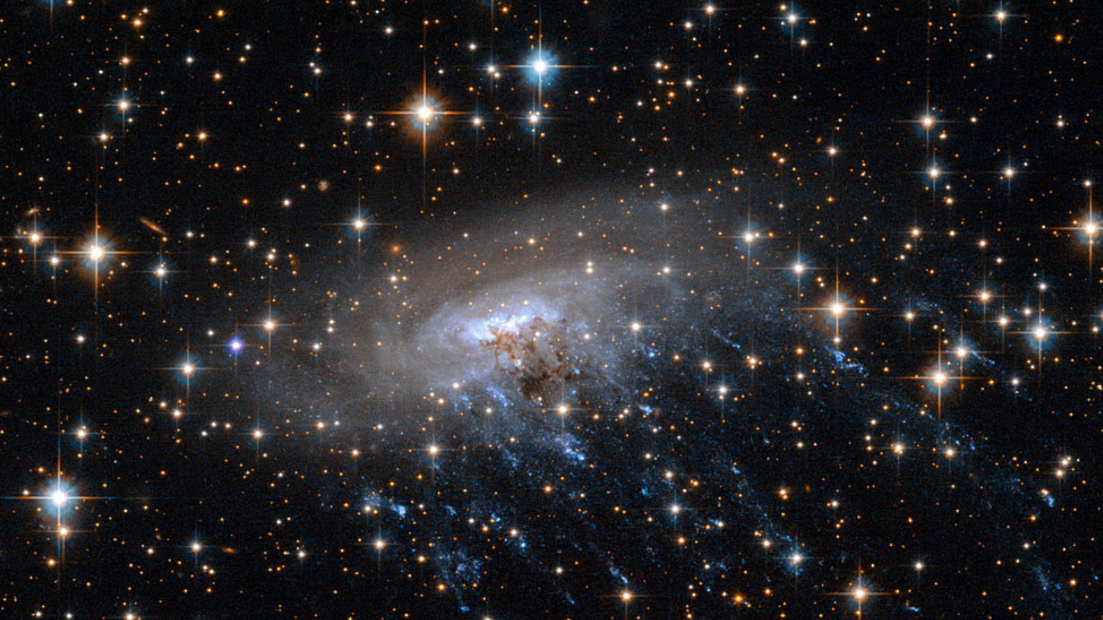 O Telescópio Espacial James Webb detecta uma impressionante ‘água-viva cósmica’ e resolve os mistérios da evolução galáctica (foto)
