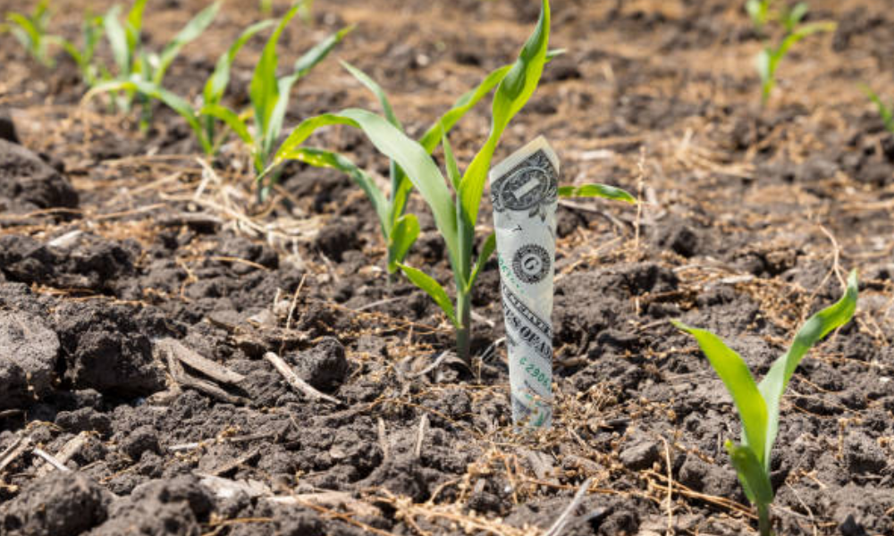Seguro agrícola atinge recorde histórico com a aproximação do prazo de 2026, diz relatório
