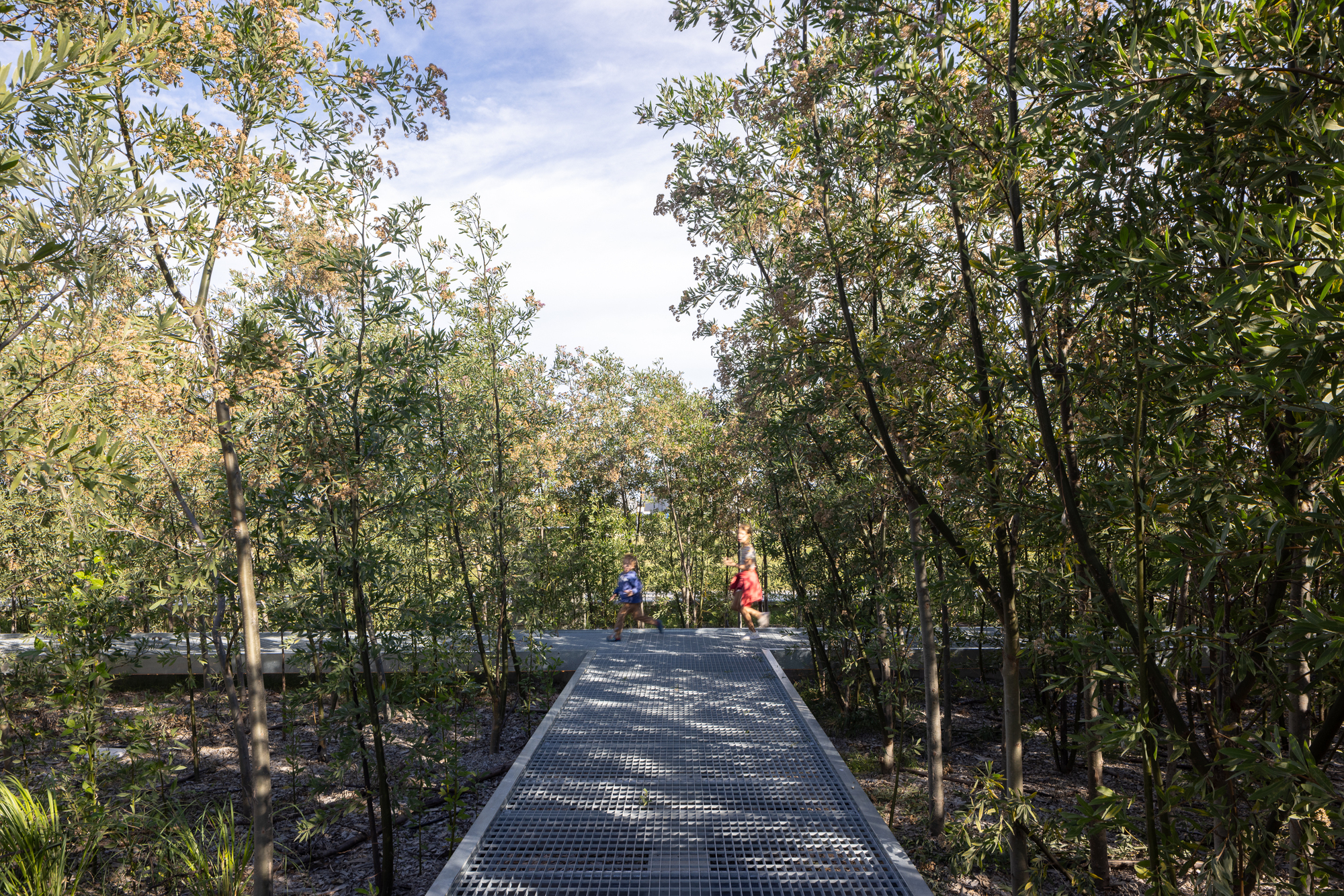 Floresta Malba / Bulla Studio