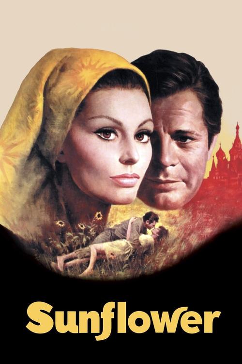 Resenhas de filmes. Cobertura televisiva. Reboques. Festivais de Cinema.