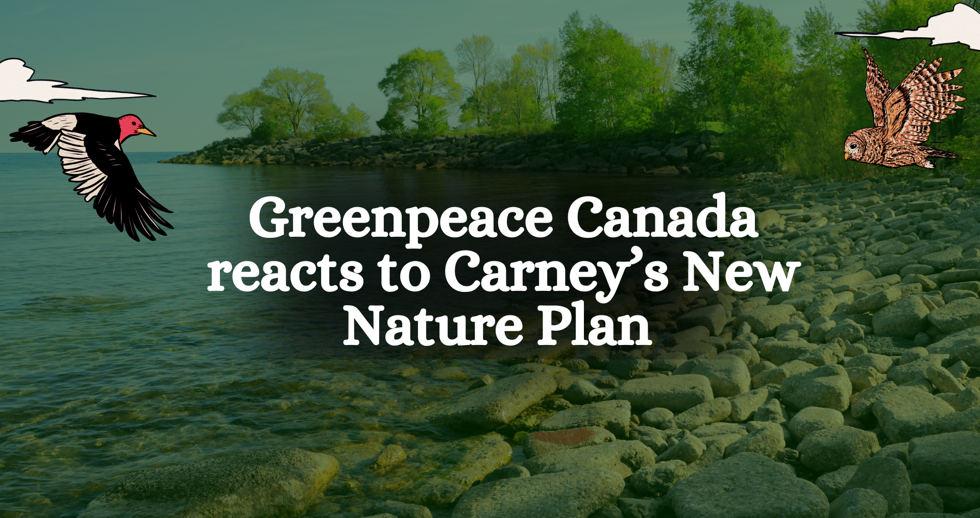 Greenpeace Canadá reage aos novos planos de proteção da natureza de Carney