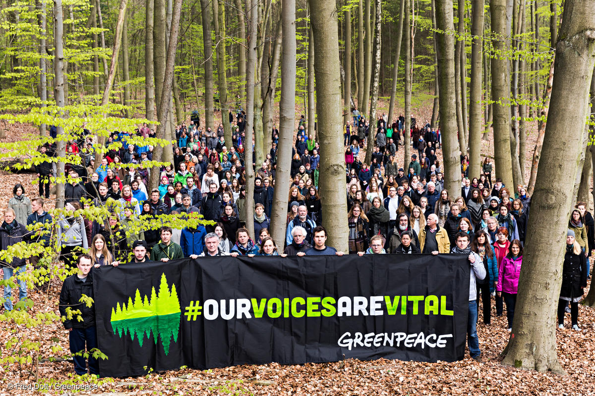 Membro do Conselho do Fundo de Educação do Greenpeace Canadá (GCEF)