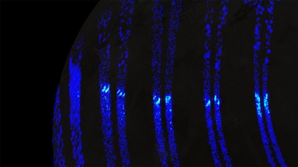 Auroras na lua gigante de Júpiter, Ganimedes, parecem as luzes do norte da Terra, revela nave espacial da NASA
